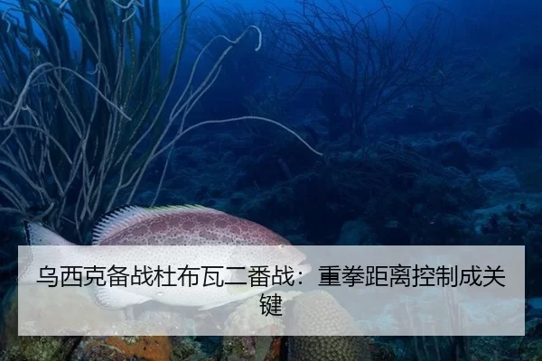 乌西克备战杜布瓦二番战：重拳距离控制成关键