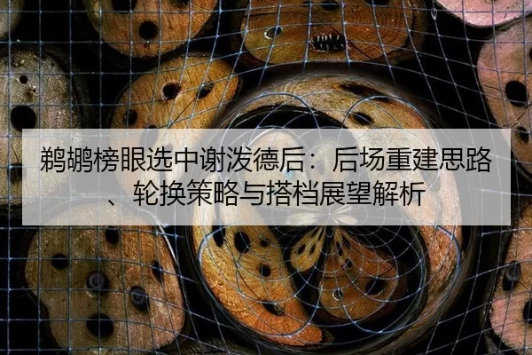 鹈鹕榜眼选中谢泼德后：后场重建思路、轮换策略与搭档展望解析