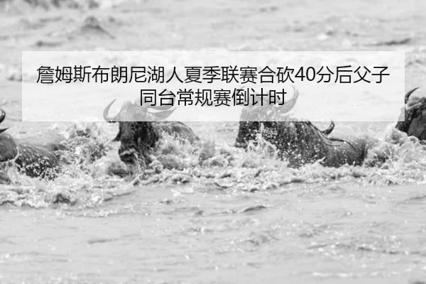 詹姆斯布朗尼湖人夏季联赛合砍40分后父子同台常规赛倒计时